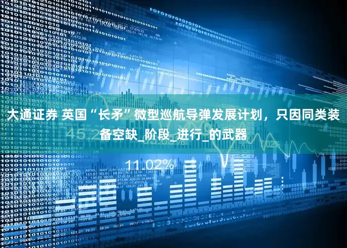 大通证券 英国“长矛”微型巡航导弹发展计划，只因同类装备空缺_阶段_进行_的武器