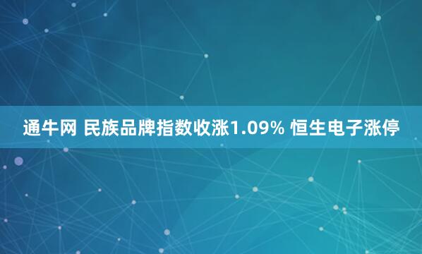 通牛网 民族品牌指数收涨1.09% 恒生电子涨停